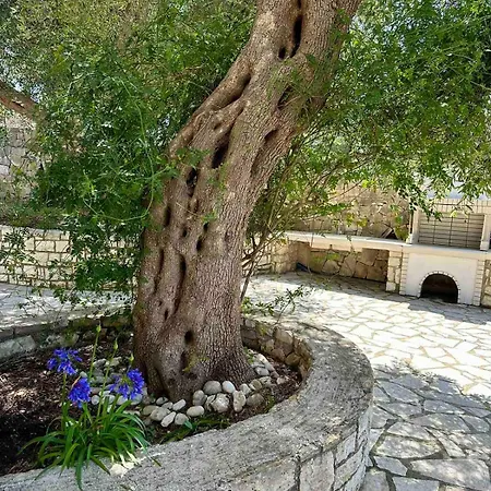 Elia Junior Villa